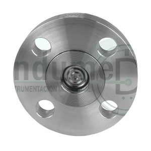 Bridado Membrana Posterior