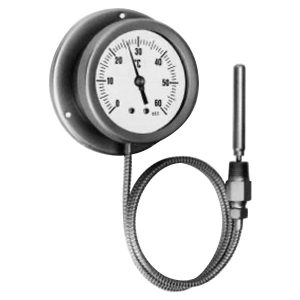 Termómetro De Capilar